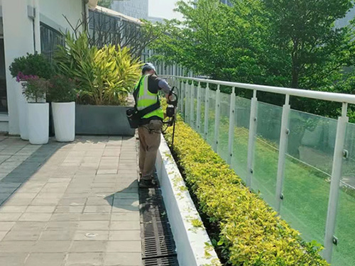 綠化養(yǎng)護(hù)中的常見問(wèn)題及解決方法